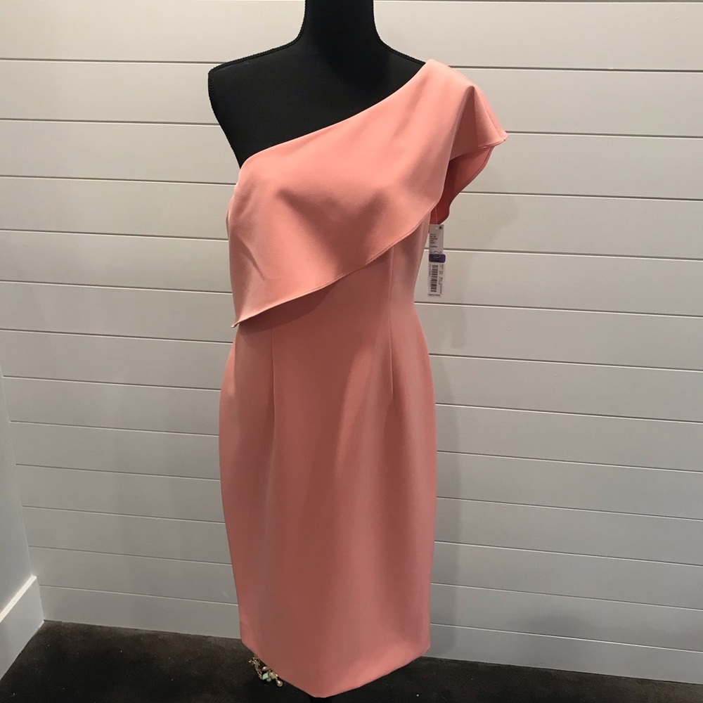 Antonio Melani One-Shoulder Dress in Blush (item is used, worn once)
